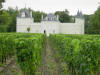 Wine Chateau
