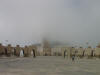 Fog on Hassan II 
