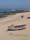 Beach Scene