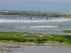 Boys and Surf 