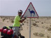 Camel Crossing 