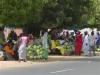 Melon Market 