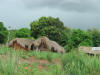 Shaggy Roofs