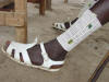 Masaai Foot