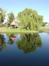 Bloemfontein Reflection