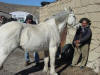 Gaucho & Horse
