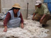 Grading Alpaca Wool