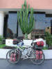 Bikes & Cactus Rotate