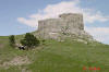 Hat Rock, Cool Cattle