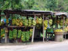 Fruit Stand
