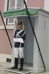 Presidential Guard 